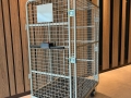 Electronic Power Assist Cage Trolley System